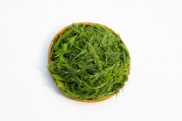 fennel