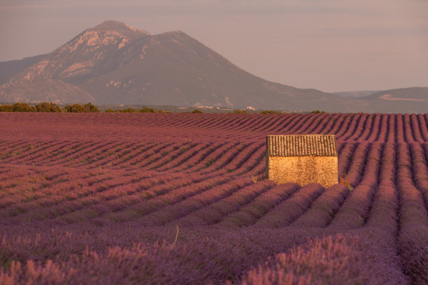 provence