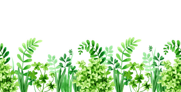 shamrock