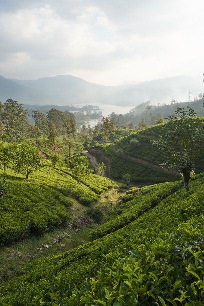 srilanka