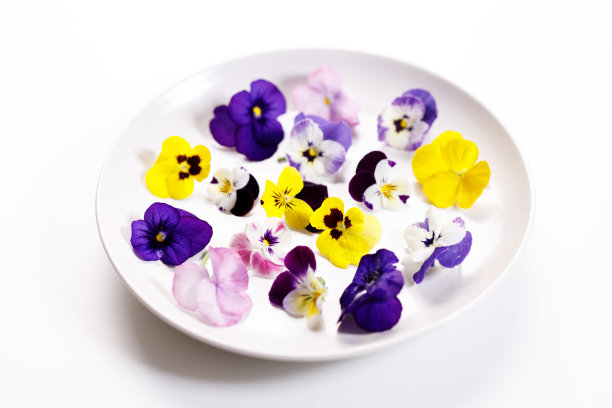 pansy
