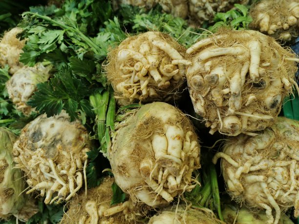 根茎类蔬菜
