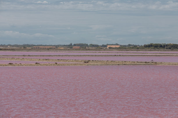 rhone