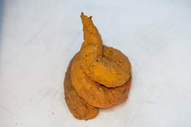 poo