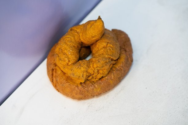 poo