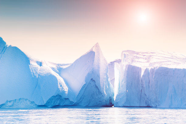 arctic