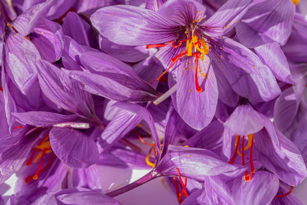 saffron