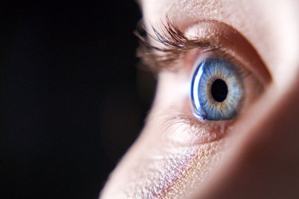 retina