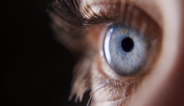 retina