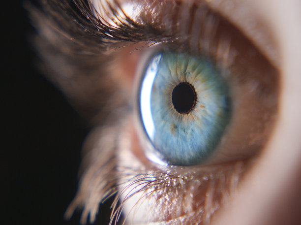retina