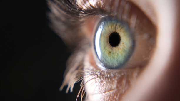 retina