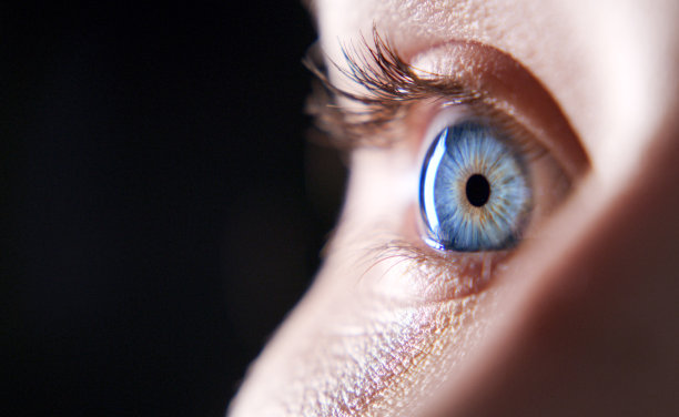 retina