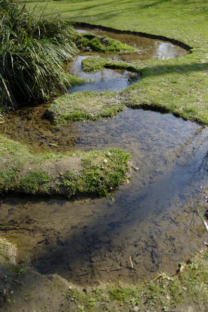 backwater