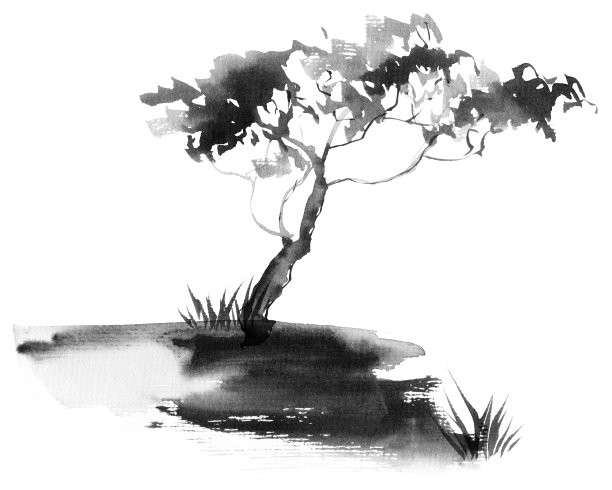 地形,户外,白色