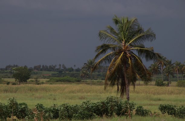 togo