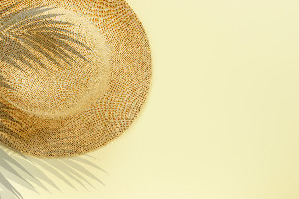bonnet