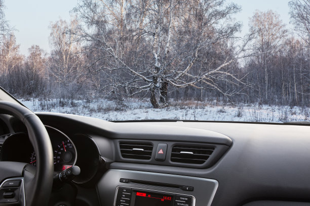 windshield