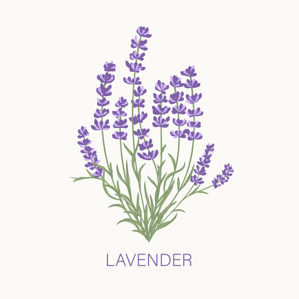 provence