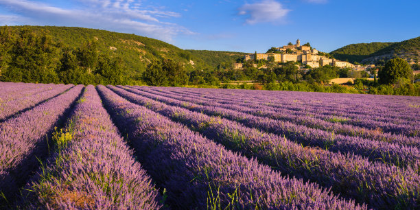 provence