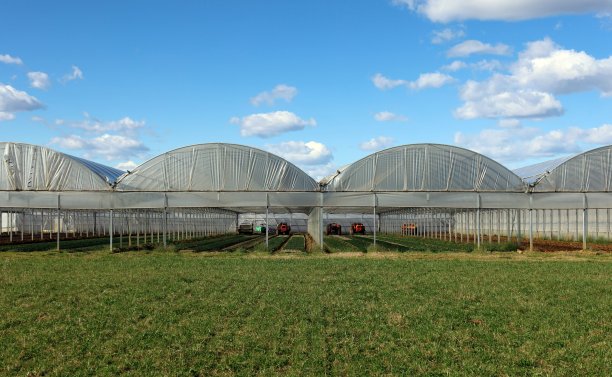 greenhouse