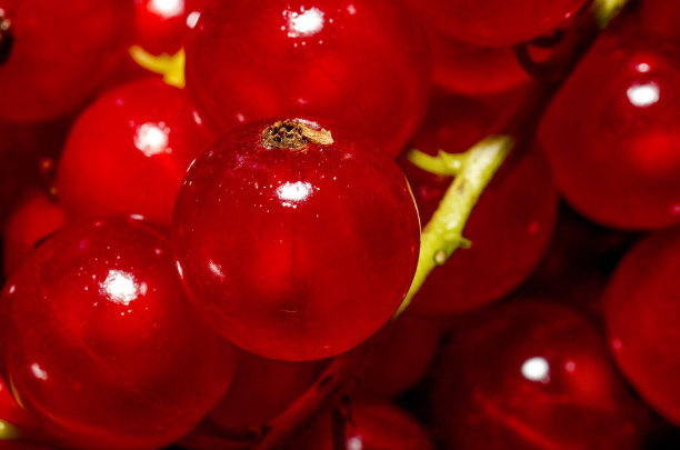 redcurrant