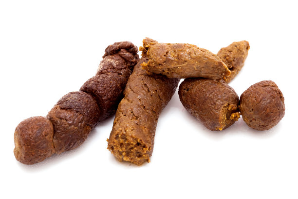 poo
