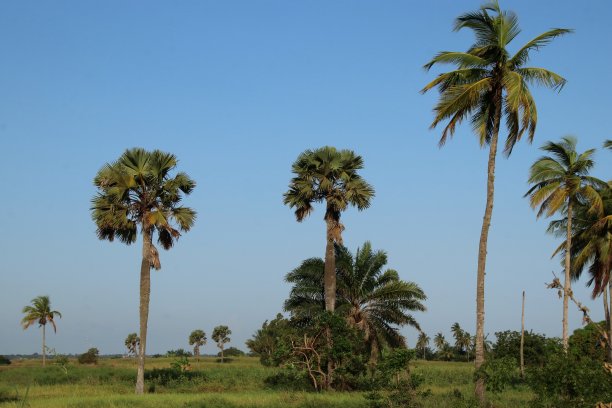 togo