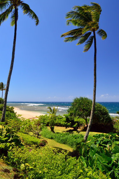 kauai