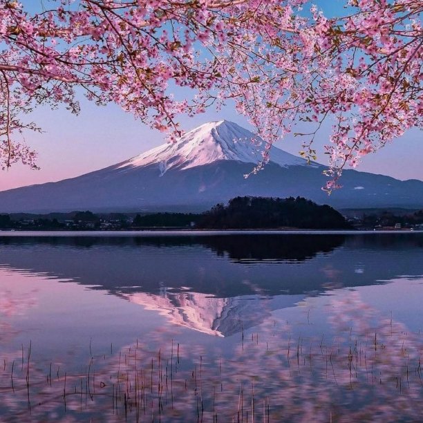 fuji
