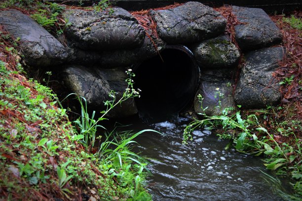 ditch