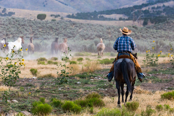 cowboy