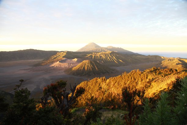 bromo