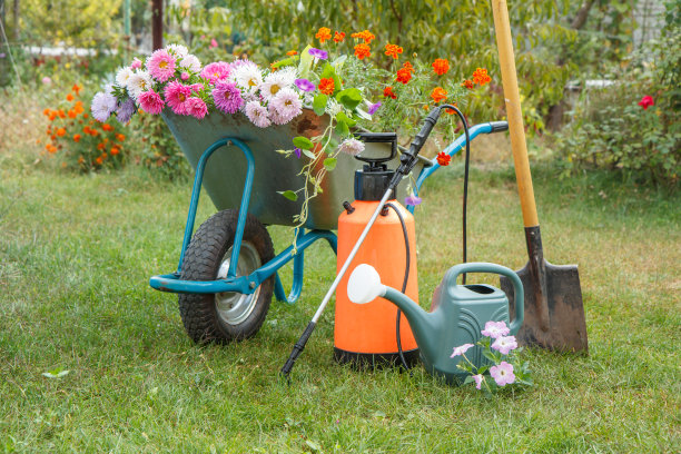 wheelbarrow