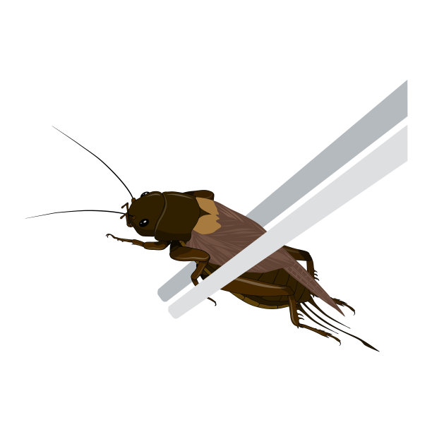 蟋蟀logo