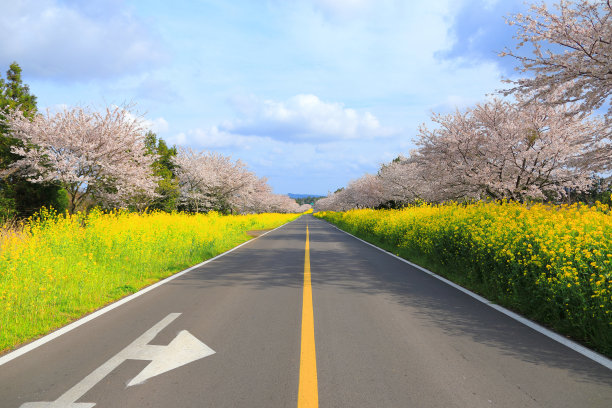 春天百花盛开万物复苏