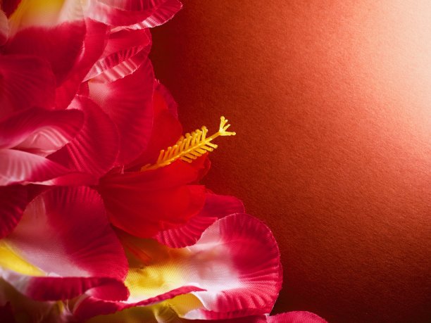 aloha