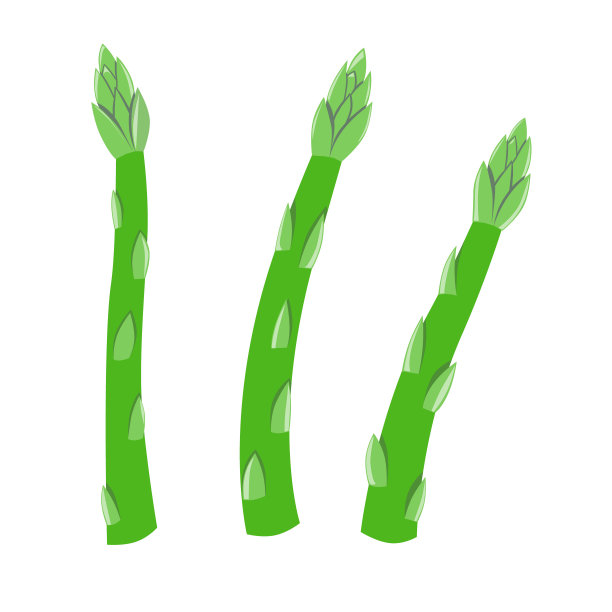 asparagus