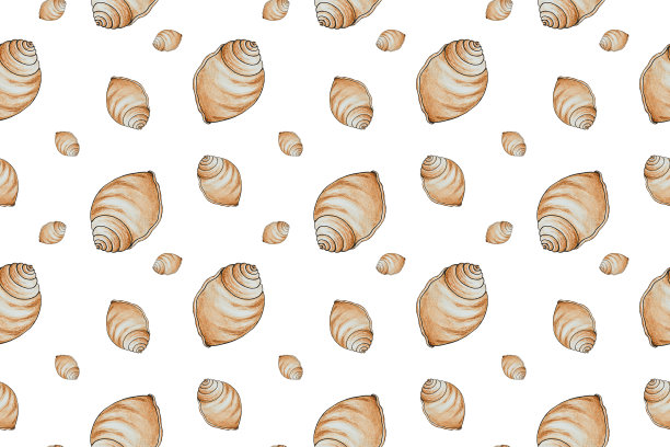 conch