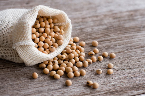 legume