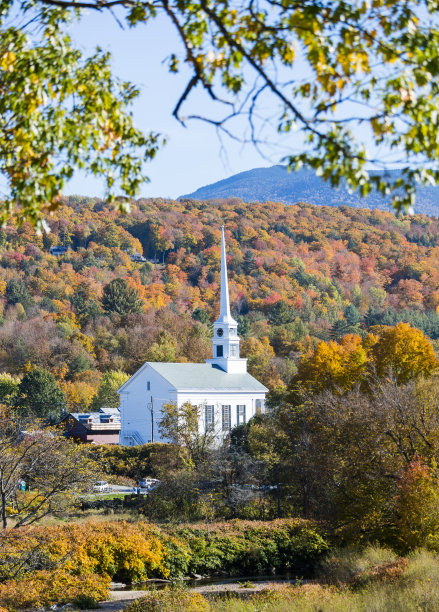 vt