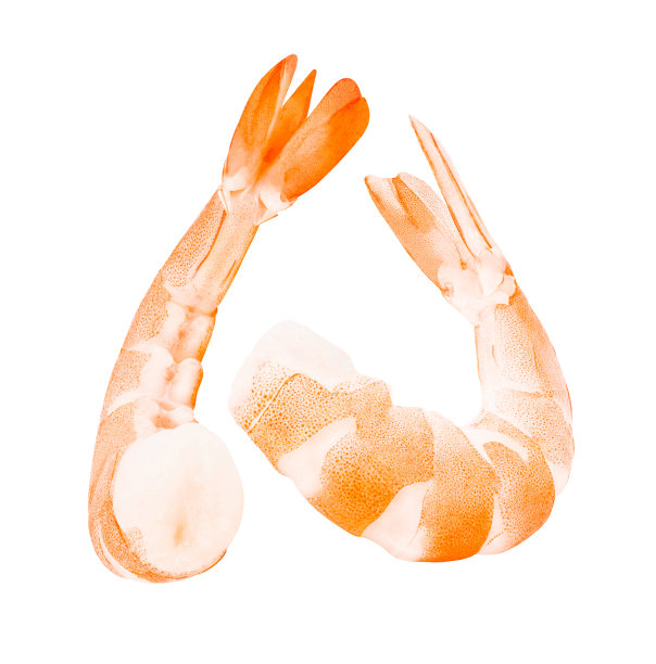 shrimps