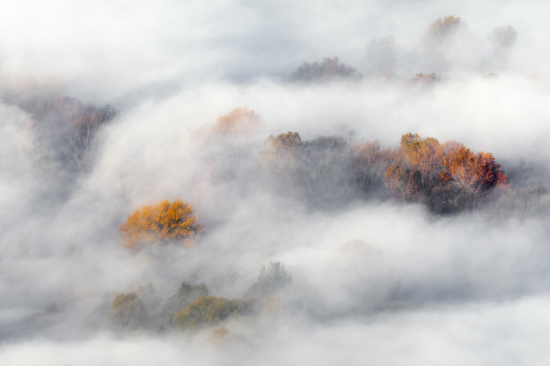 cloudscape