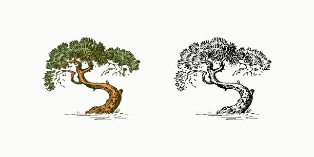 蔬菜,背景分离,食品