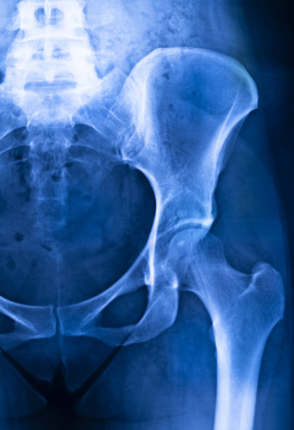 pelvis