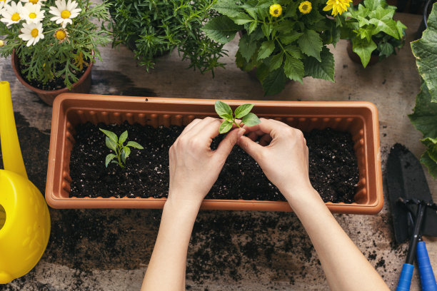 horticulture