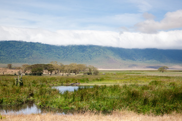 ngorongoro