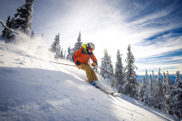 滑雪运动