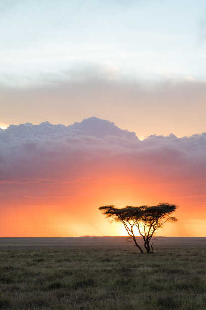 tanzania