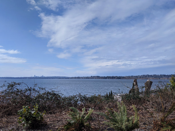 kirkland