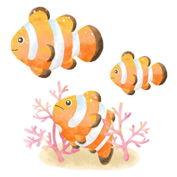 anemonefish